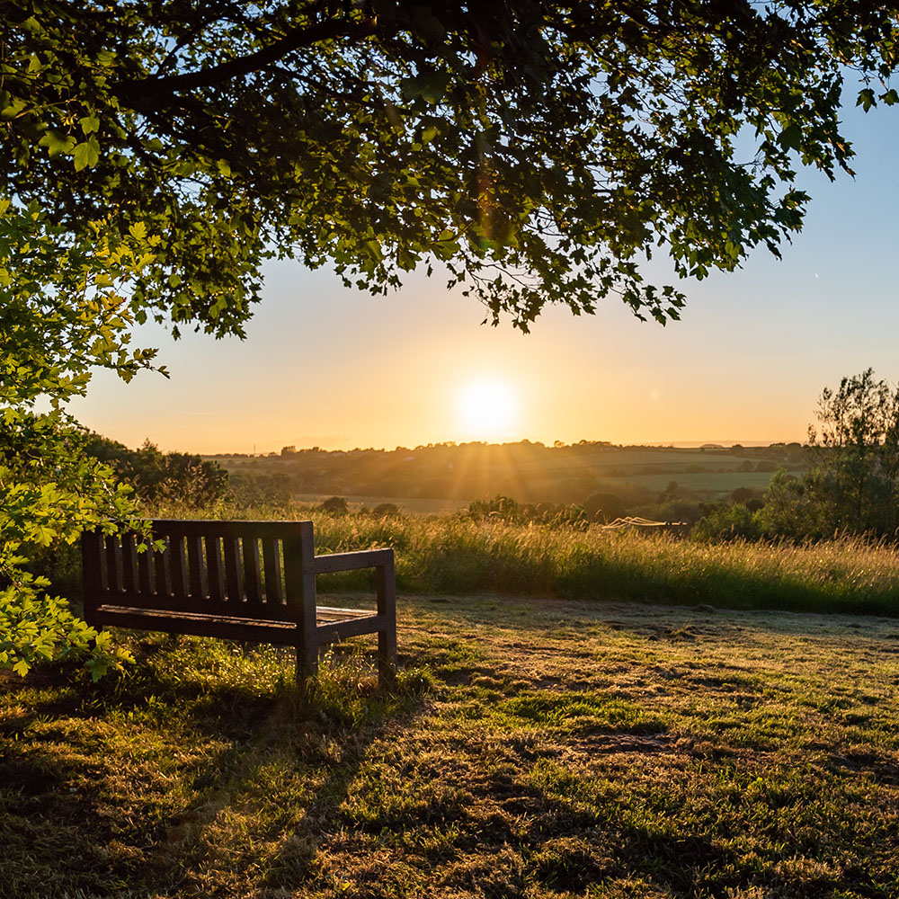 Tuinschilderijen met landschap en uitzicht